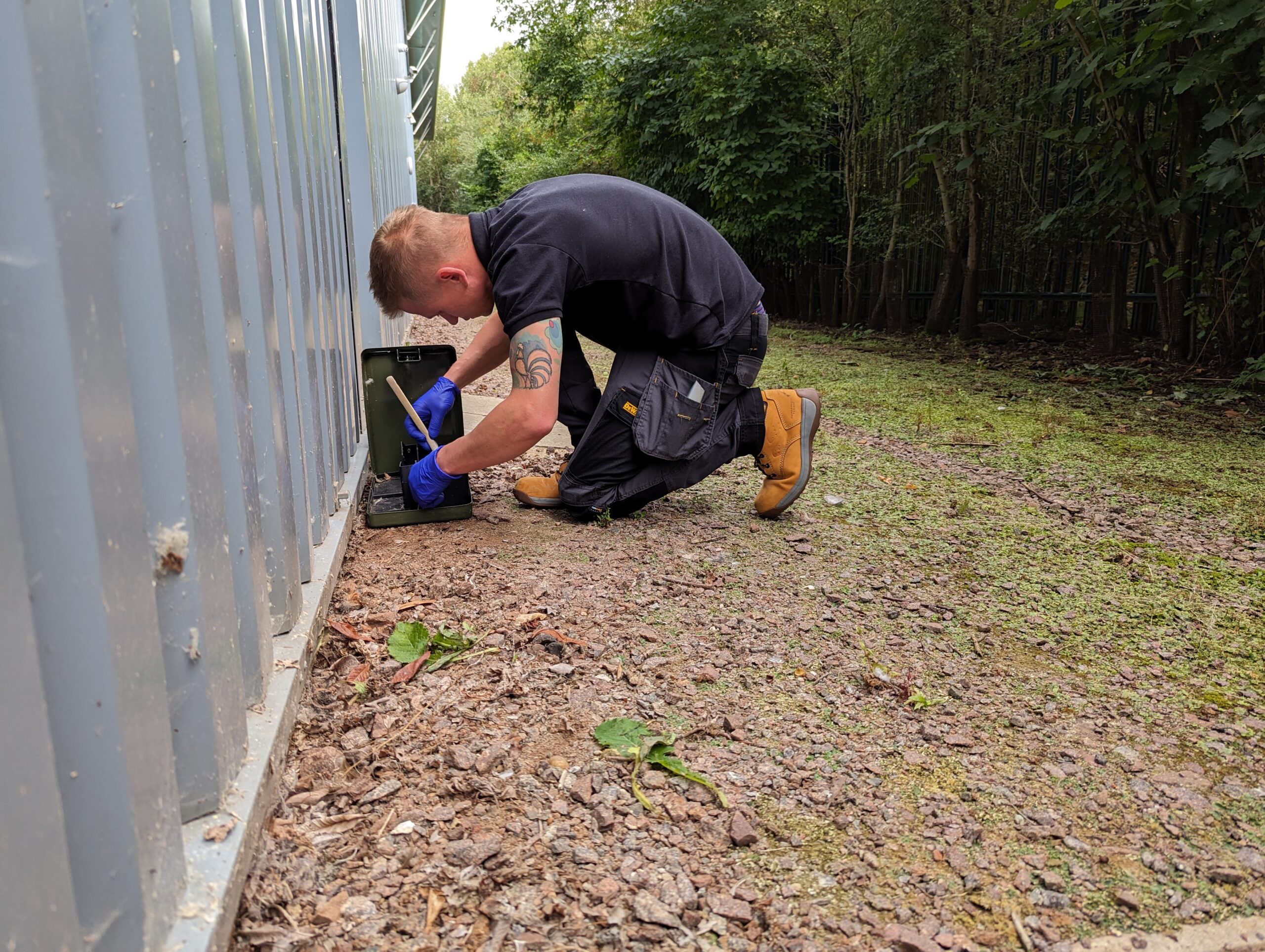 What Is Insect Control?