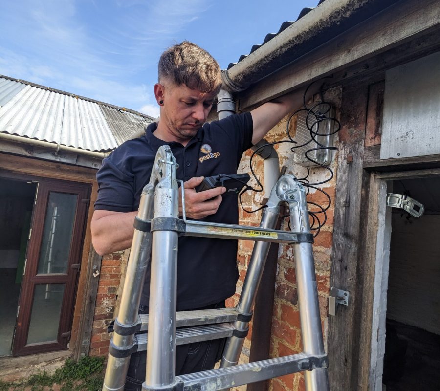 What Is Bird Control?