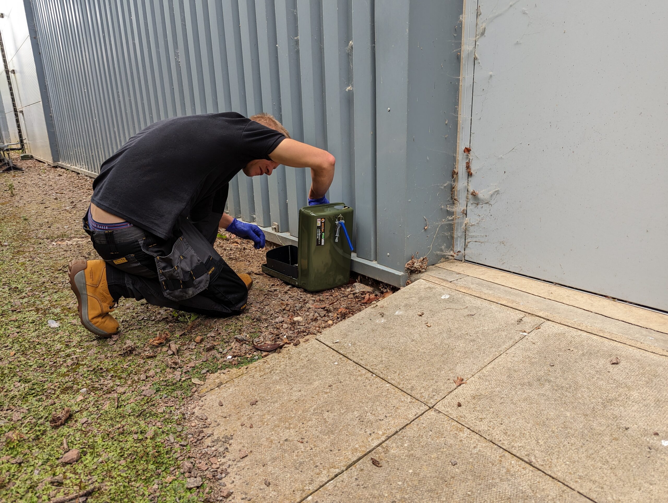 How Pest Control Remove Insects