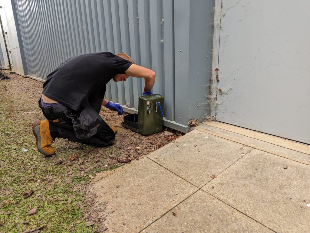 How Much Does It Cost to Remove a Wasp Nest?