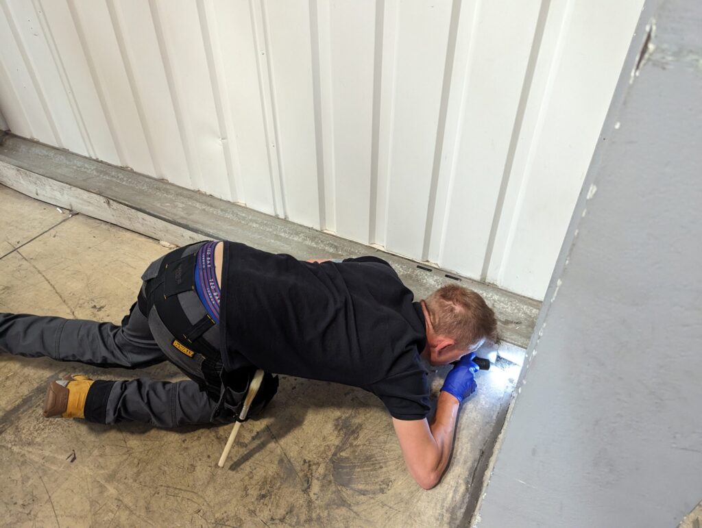 Why Pest Control Is Important